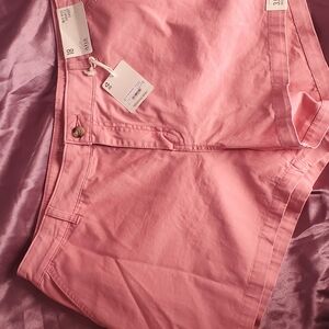 Ann Taylor Loft Women's Pink The Roll Short Cuffed Chino Shorts Size 18